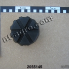 2055145 Гайка диска(AXIS)