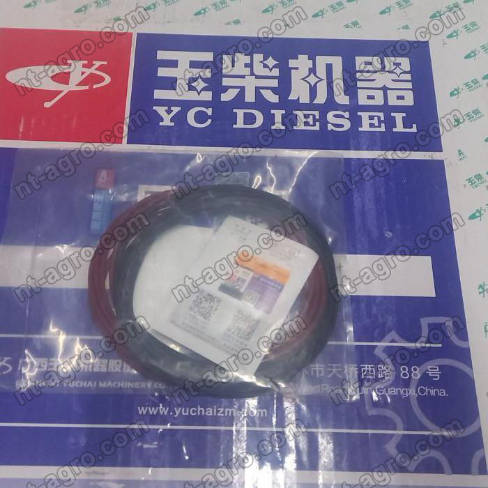 A3000-1002063B# Уплонительные кольца (YC4A100-T301 (A515TB) Yuchai (Ючай)