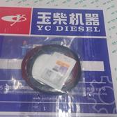 A3000-1002063B# Уплонительные кольца (YC4A100-T301 (A515TB) Yuchai (Ючай)